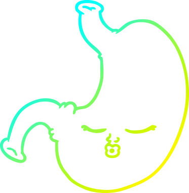 Bir insan tarafından çizilmiş karikatür midesi.