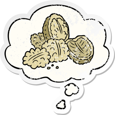 Düşünce baloncuklu karikatür cevizleri insan tarafından çizilmiş yıpranmış bir çıkartma gibi.