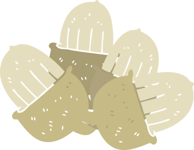 Bir insan tarafından çizilen palamutların düz renk çizimi