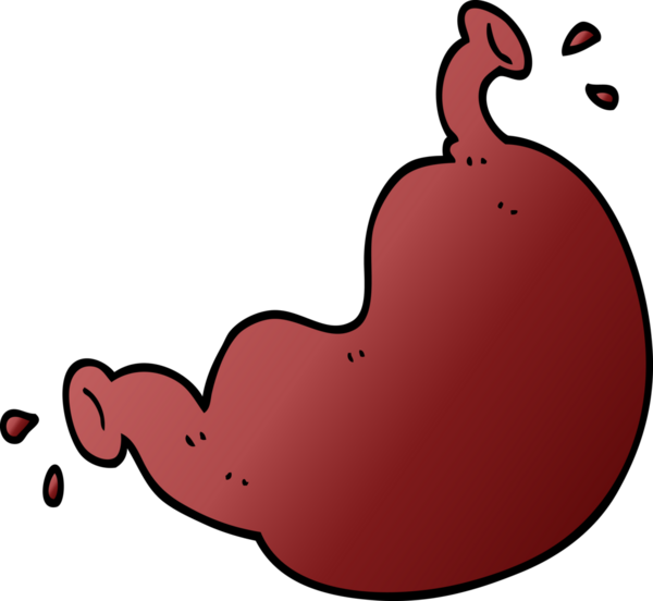 bir insan tarafından çizilmiş insan organı.