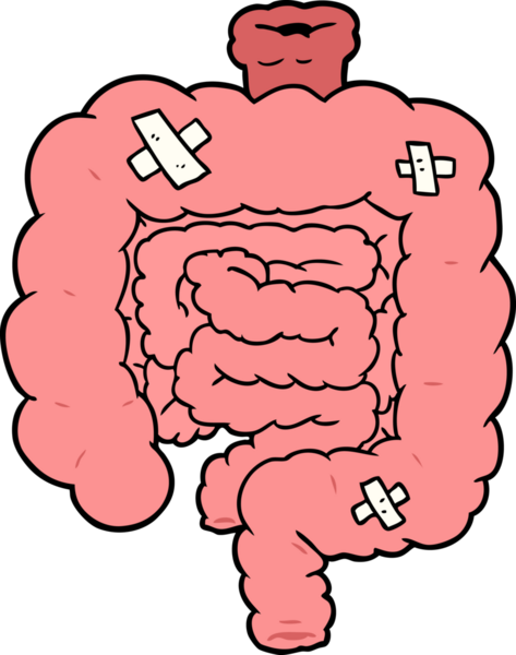 Çizgi film bir insan tarafından çizilmiş bağırsakları onardı.