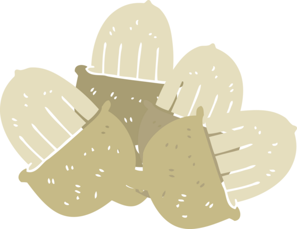 Bir insan tarafından çizilen palamutların düz renk çizimi