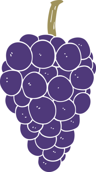 Bir insan tarafından çizilmiş düz renk çizgi film üzümleri