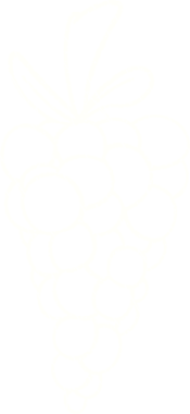 Bir insan tarafından çizilmiş Üzüm Tebeşiri