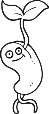 Bir insan tarafından çizilmiş siyah-beyaz filizlenen tohum.