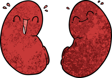 Bir insan tarafından çizilmiş mutlu böbrekler.