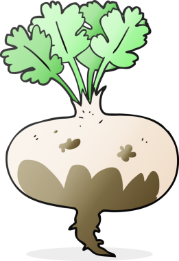 Bir insan tarafından çizilmiş çamurlu şalgam karikatürü.