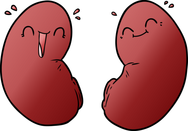Bir insan tarafından çizilmiş mutlu böbrekler.