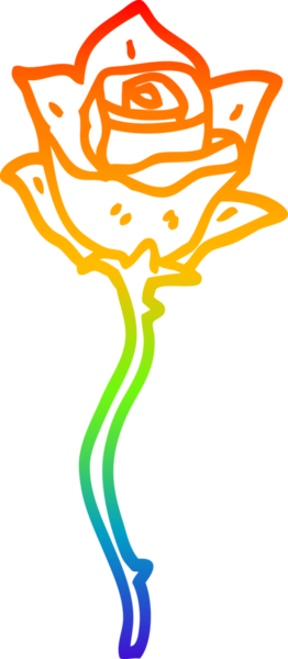 gökkuşağı gradyan çizgi çizimi bir insan tarafından çizilmiş beyaz gül