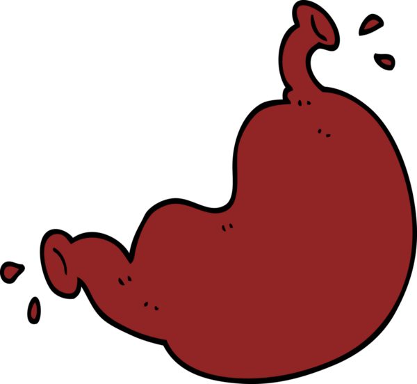 bir insan tarafından çizilmiş insan organı.