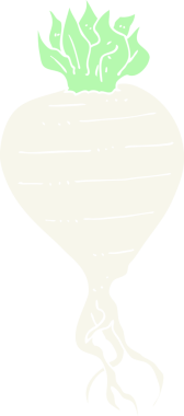 Bir insan tarafından çizilmiş şalgamın düz renk çizimi