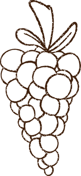 Bir insan tarafından çizilmiş Üzüm Kömürü