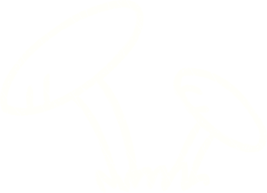 Bir insan tarafından çizilmiş mantar tebeşiri.