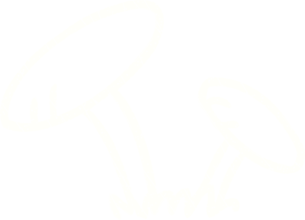 Bir insan tarafından çizilmiş mantar tebeşiri.