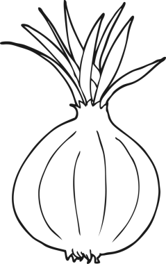 Bir insan tarafından çizilmiş siyah beyaz karikatür soğanı.