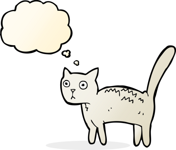 Bir insan tarafından çizilmiş düşünce balonlu korkmuş kedi çizgi filmi.