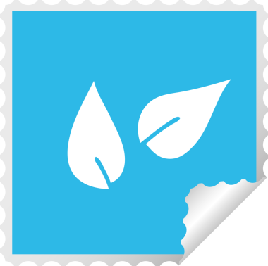 Bir insan tarafından çizilmiş bir yaprağın kare soyma etiketi.