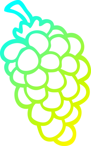 Bir insan tarafından çizilmiş bir demet üzümün soğuk gradyan çizimi