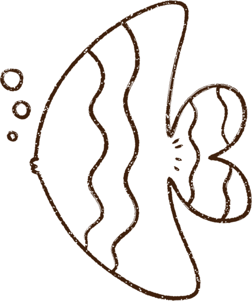 Bir insan tarafından çizilen Tropik Balık Kömürü