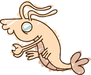 Bir insan tarafından çizilmiş karides tebeşiri.