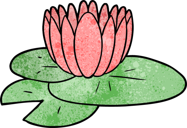 Bir insan tarafından çizilmiş nilüfer çiçeği.