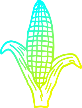Bir insan tarafından çizilmiş sağlıklı mısırın soğuk gradyan çizimi