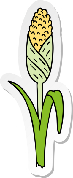 Bir insan tarafından çizilmiş mısır koçanı üzerine el çizimi karikatür.