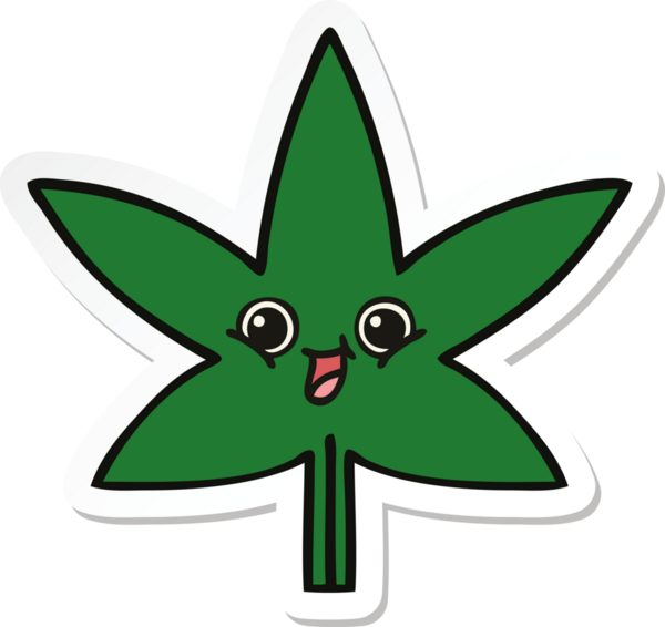 Bir insan tarafından çizilmiş marihuana yaprağının çıkartması.