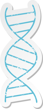 Bir insan tarafından çizilmiş şirin bir DNA ipliğinin sıkıntılı çıkartması.