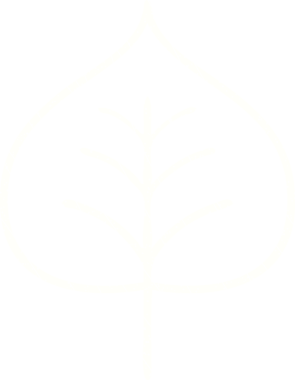 Bir insan tarafından çizilen Yaprak Tebeşiri