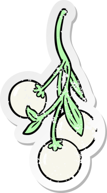 Bir insan tarafından çizilmiş ökse otunun sıkıntılı çıkartması.