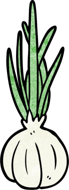 Bir insan tarafından çizilmiş sarımsak soğanı.