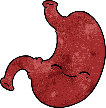 Bir insan tarafından çizilmiş midem.