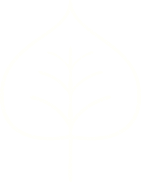 Bir insan tarafından çizilen Yaprak Tebeşiri