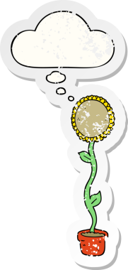 Düşünce baloncuğu olan karikatür ayçiçeği insan tarafından çizilmiş yıpranmış bir çıkartma gibi.