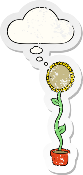 Düşünce baloncuğu olan karikatür ayçiçeği insan tarafından çizilmiş yıpranmış bir çıkartma gibi.