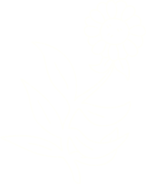 Bir insan tarafından çizilen Mutlu Çiçek Tebeşiri