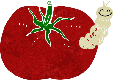 Bir insan tarafından çizilmiş böcekli domates.