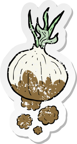 Bir insan tarafından çizilmiş organik soğanın retro sıkıntılı yapıştırması.