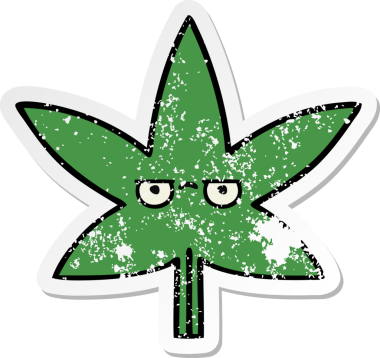 Bir insan tarafından çizilmiş marihuana yaprağının sıkıntılı çıkartması.