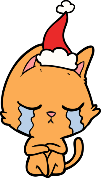 Bir insan tarafından çizilmiş Noel Baba şapkasıyla oturan bir kedinin çizdiği çizgiler.