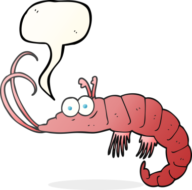 Bir insan tarafından çizilmiş serbest konuşma balonu karidesi.