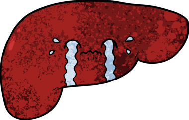 Bir insan tarafından çizilmiş karaciğer.