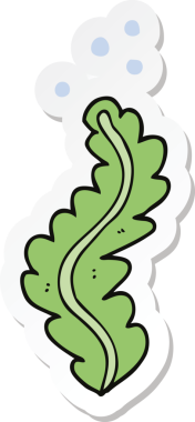 Bir insan tarafından çizilmiş bir deniz yosununun çıkartması.