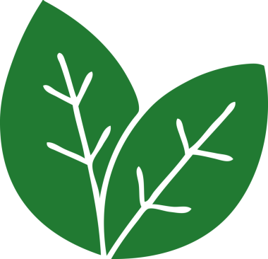 Bir insan tarafından çizilmiş garip çizgi film yaprakları.