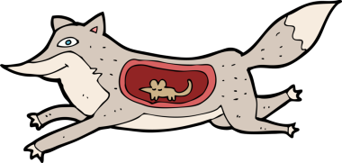 Bir insan tarafından karnında fare olan çizgi film kurdu.