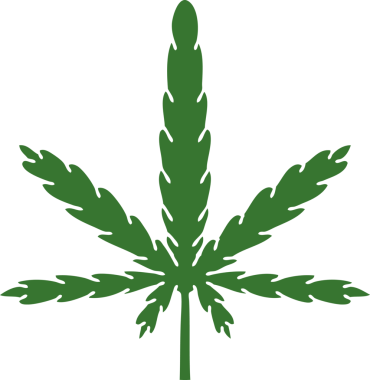 Bir insan tarafından çizilmiş tuhaf bir marihuana çizimi.