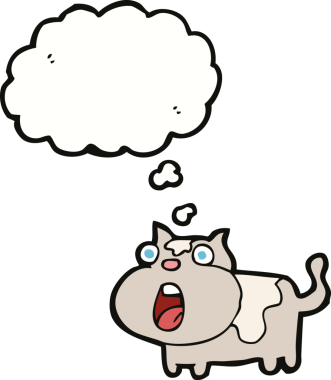 Bir insan tarafından çizilmiş düşünce balonuyla şok olmuş bir kedi.