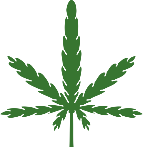 Bir insan tarafından çizilmiş tuhaf bir marihuana çizimi.