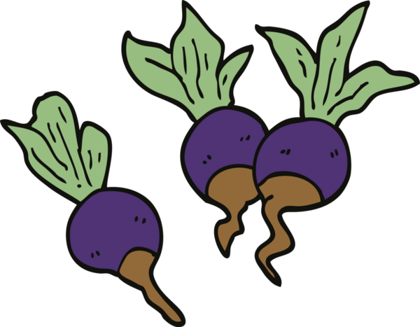 Bir insan tarafından çizilmiş pancar pancarı bitkileri.